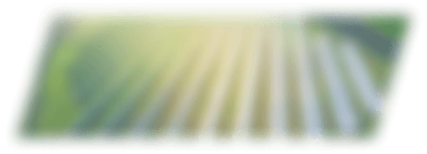 Shadow of solar parks